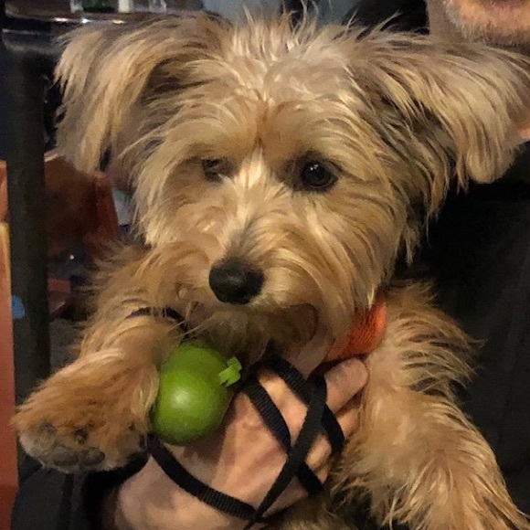 Meet your Posher, Norma - Picture 1 of 1